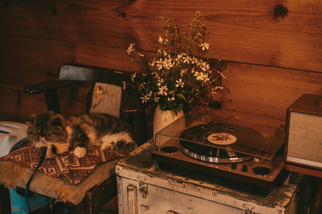 Pourquoi ton acoustique vaut plus cher que ton matériel